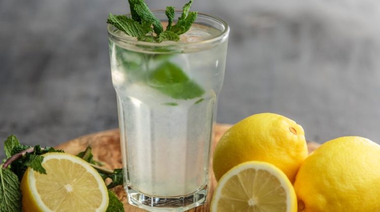 Review of Lemonade Diet, Must Read!